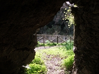 cantara gurne23122011 153
